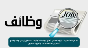 20 فرصة ذهبية.. وزارة العمل تفتح أبواب التوظيف للمصريين في إيطاليا مع تفاصيل التخصصات وشروط القبول